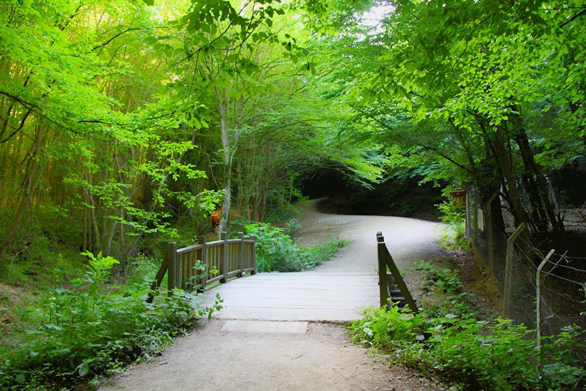 Zamanla Türkçe konuşan halk burayı “Polonezköy” olarak anmaya başladı.<br>“Polonez” kelimesi Türkçede “Polonyalı” anlamına gelirken, “köy” ekinin eklenmesiyle bugün bildiğimiz isim ortaya çıktı.