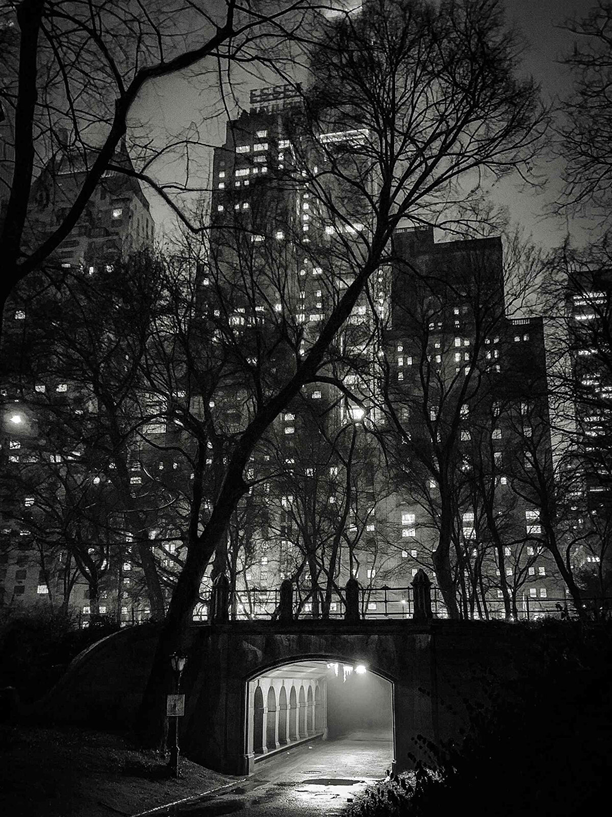 Onu takip eden isim ise Carol Addassi oldu. Addassi, 7 yaşındaki iPhone XS ile çektiği New York Central Park siyah-beyaz gece fotoğrafı “Passage” ile ikinci sırada yer aldı.