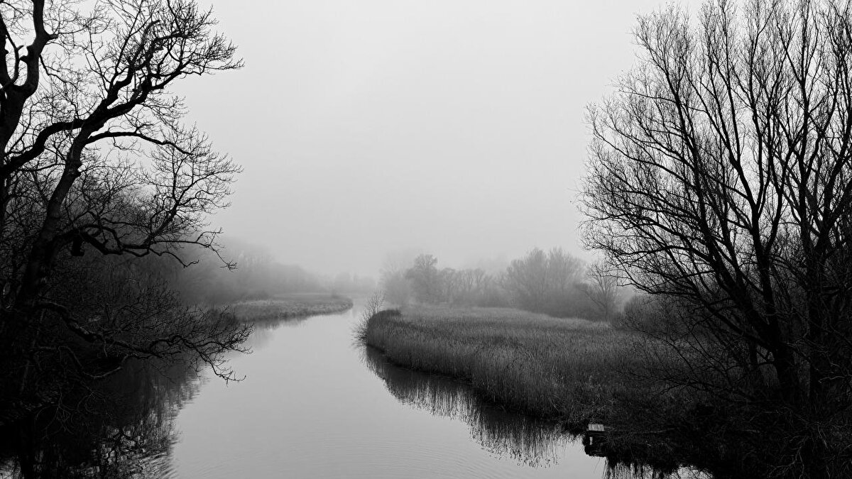 Yarışma kuralları ve ödüller<br><br>Yarışmaya katılan fotoğrafların mutlaka iPhone veya iPad ile çekilmiş olması gerekiyor. Photoshop gibi masaüstü düzenleme yazılımları kullanılmıyor, ancak cihazdaki uygulamalarla düzenleme yapılabiliyor.<br>Bu yılın büyük ödülünü kazanan cihaz 13 inç iPad Air, diğer ödül sahipleri ise Apple Watch Series 10 ile ödüllendirildi. 12 farklı kategoride birincilik kazananlar altın külçe, ikinci ve üçüncülük kazananlar ise platin külçe ödüllerine sahip oldu.<br><br>Gelecek yıl başvuruları ne zaman?<br>IPPAWARDS 2026 başvuruları için son tarih 31 Mart 2026. Fotoğraf tutkunları, aynı adresten gelecek yılki yarışmaya başvurularını yapabilir.