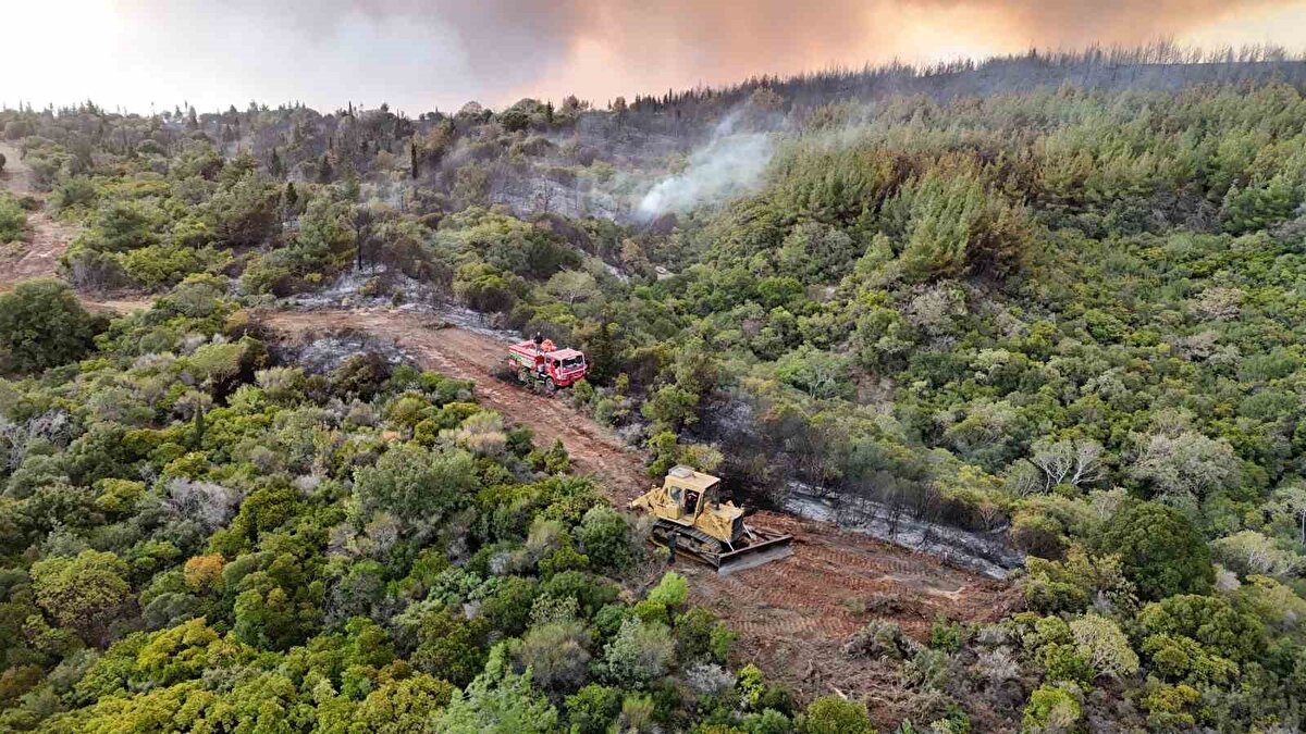 Yangın saat 16.28’de Gelibolu ilçesi Tayfur ve Cumalı köyü mevkiinde çıktı. Alevler rüzgarında etkisiyle kısa sürede büyüyerek geniş bir alana sıçradı. İhbar üzerine bölgeye Orman Bölge Müdürlüğü ekipleri sevk edildi. 
