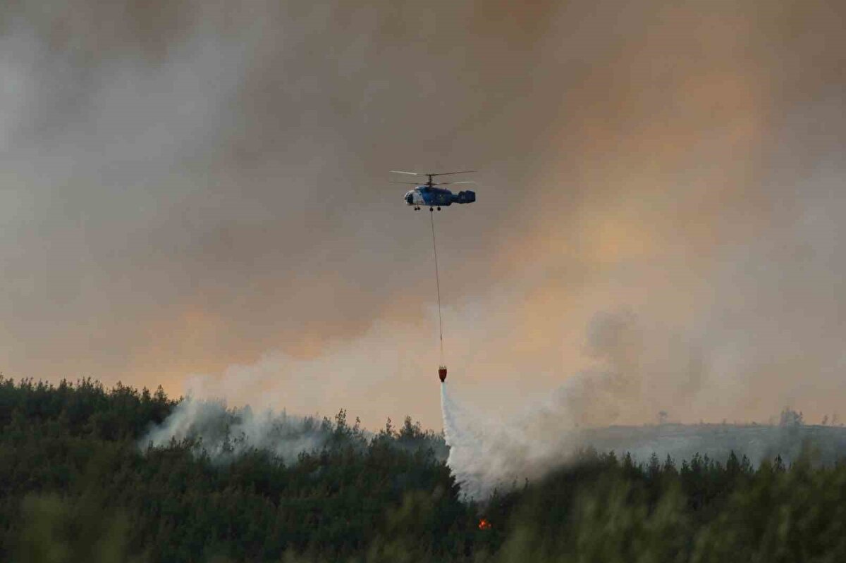 Yangına havadan ve karadan yoğun müdahale devam ediyor. Yangında tedbir amaçlı Eceabat ilçesine bağlı Yolağzı, Küçükanafartalar, Büyükanafartalar, Kumköy ve Gelibolu ilçesine bağlı Karainebeyli köyleri tahliye edildi.