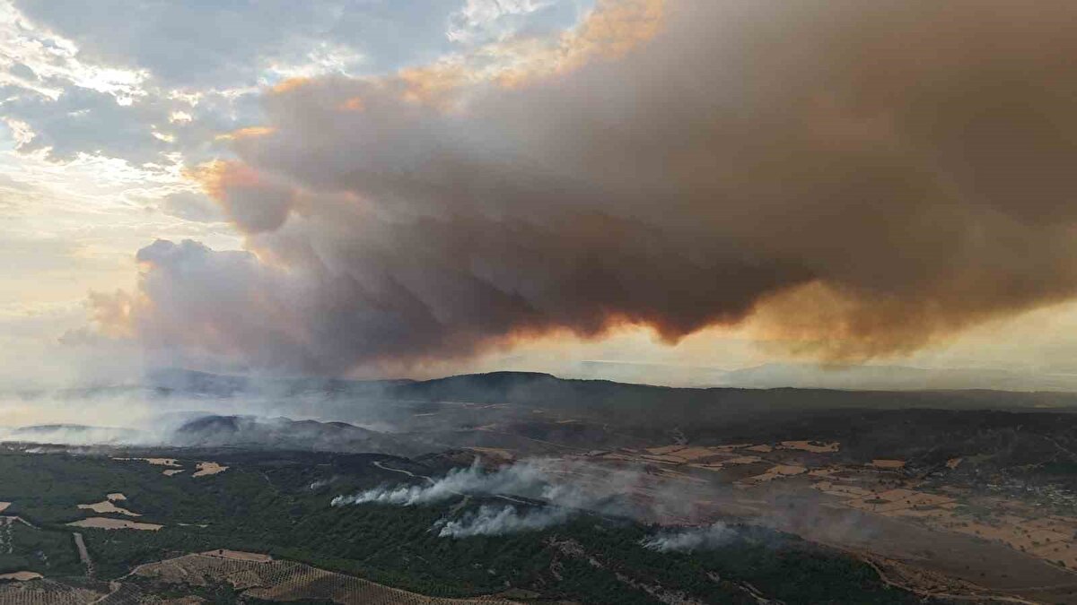 Günün aydınlanmasıyla havadan müdahaleye tekrar başlandı<br><br>Çanakkale Valiliğinden yapılan açıklamada, "Çanakkale Gelibolu Tayfur köyü yangınına gece boyunca karadan müdahaleye devam edildi. Havanın aydınlanmasının ardından hava araçları ile yeniden müdahaleye başlandı. Ekiplerimiz yangını kontrol altına almak için yoğun gayret gösteriyorlar" ifadelerine yer verildi.