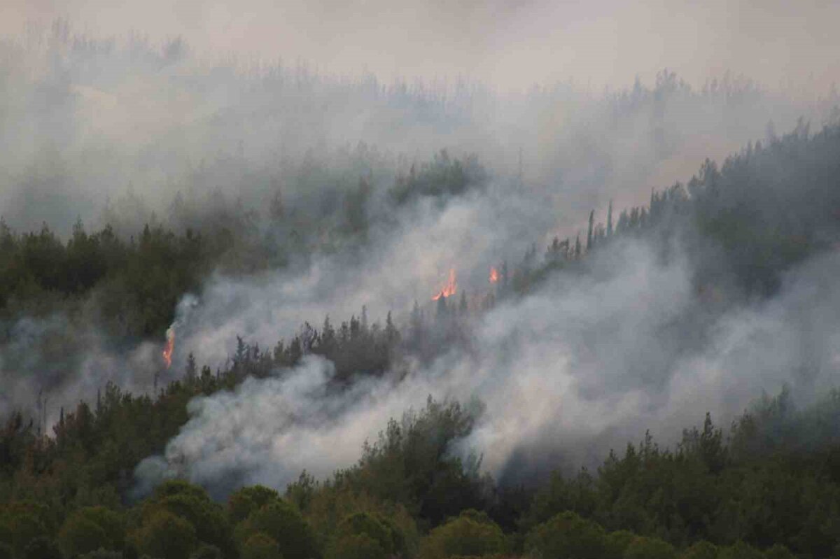 Bölgede devam eden yangın sabah saatlerinde dron ile görüntülendi.