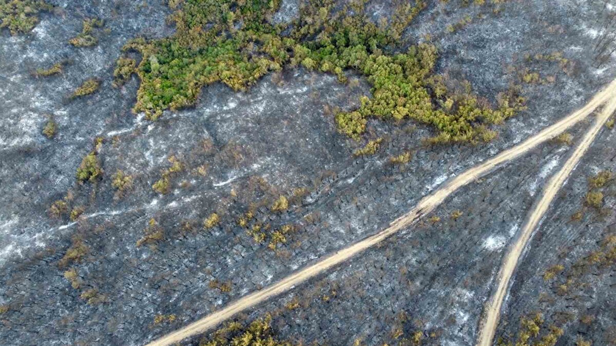 Ekiplerin alevlerle yoğun mücadelesi sonrası yangın büyük ölçüde kontrol altına alındı. Konu ile ilgili saat 15.00 sıralarında açıklama yapan Tarım ve Orman Bakanı İbrahim Yumaklı, "Çanakkale / Gelibolu yangını orman kahramanlarımızın aralıksız mücadelesi ile büyük ölçüde kontrol altına alınmıştır. Bölgede soğutma çalışmalarımız devam etmektedir. Tarihi yarımadada bulunan şehitliklerimiz yangınlardan etkilenmemiştir" dedi.