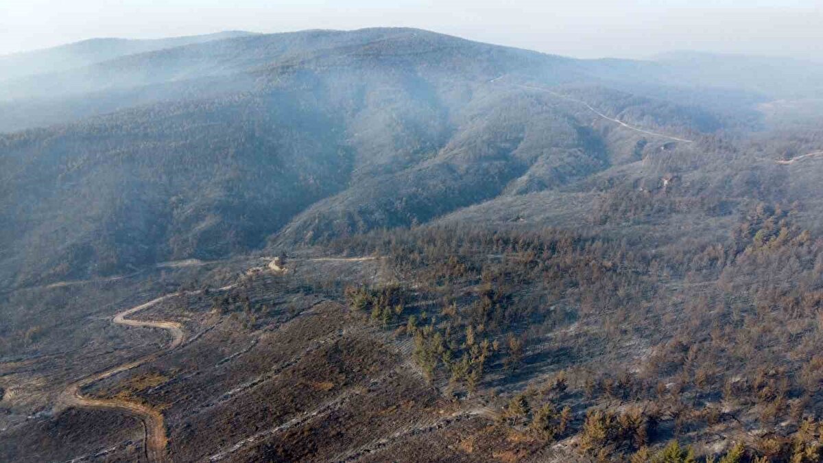 Yangının 3'üncü gününde yanan ormanlık alanlar dronla görüntülendi.