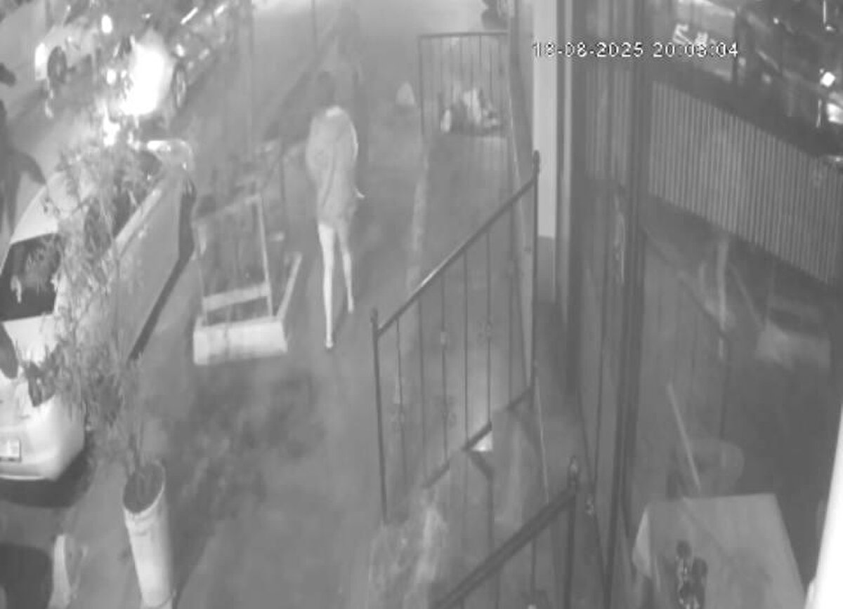 Görüntülerde, yaralanan kişi ile kız arkadaşı kaldırımda yürüdükleri sırada, yanlarından geçen motosikletten silahla ateş edildiği ve yaralanan kişini nyere düştüğü anlar yer alıyor.