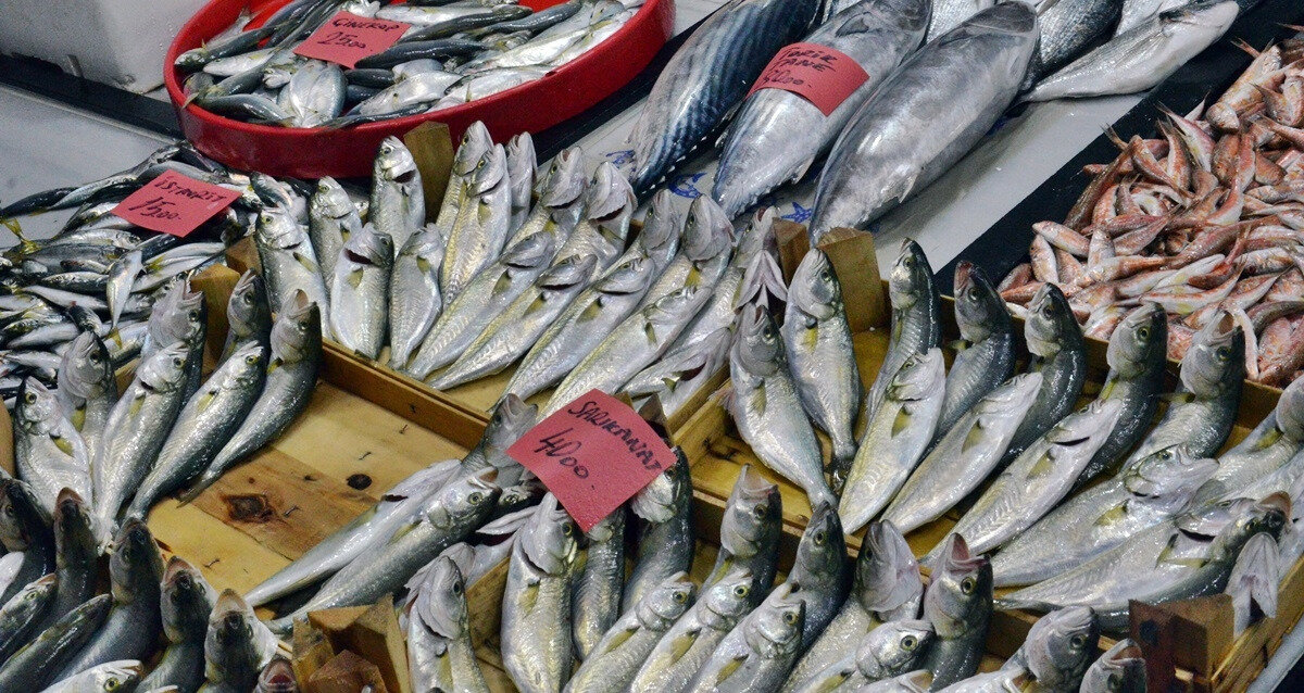 Karadeniz’de Balıklar Nasıl Etkileniyor?<br><br>Doğu Karadeniz’de yapılan araştırmada, istavrit, mezgit, barbun, dil, pisi ve kalkan balıkları incelendi. Sonuçlar şöyle:<br>* İstavrit ve mezgit: Balık başına ortalama 1 mikroplastik<br>* Barbun, dil, pisi ve kalkan: Balık başına 12 adede kadar mikroplastik<br>* Hamsi: En az mikroplastik birikimine sahip, daha güvenli<br>Aytan, dip balıklarında mikroplastik miktarının daha fazla olduğunu belirterek, “Hamsi gibi kısa ömürlü ve sürekli hareket halinde olan türler daha az mikroplastik birikimine maruz kalıyor. Bu nedenle hamsi daha az risk taşıyor,” diyor.