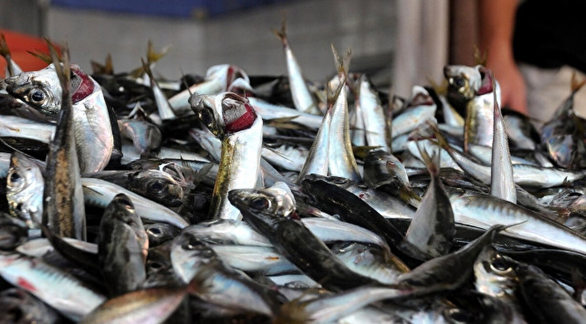 Mikroplastik Nedir ve Neden Önemli?<br><br>Denizlerde, göllerde ve nehirlerde her gün milyonlarca ton plastik atık birikiyor. Bu plastikler küçük parçalara ayrılarak “mikroplastik” haline geliyor ve deniz canlılarının besin zincirine karışıyor. Prof. Dr. Aytan, “Mikroplastikler, denizin besin zincirinin temelini oluşturan mikroorganizmalarla aynı boyuta geldiği için tükettiğimiz gıdalara kadar ulaşabiliyor,” uyarısında bulunuyor.