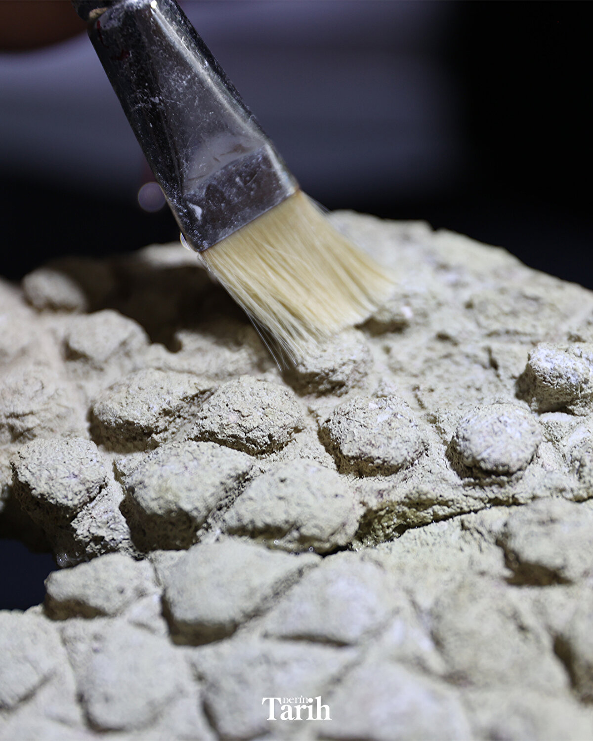 Dünya tarihinde Harran'ın önemli bir bilim ve yerleşim merkezi olarak ön plana çıktığını ifade eden Önal, yaklaşık 800 yıl önce Moğol istilası sırasında tarihi kentin yağmalanıp yıkıldığını hatırlattı.
