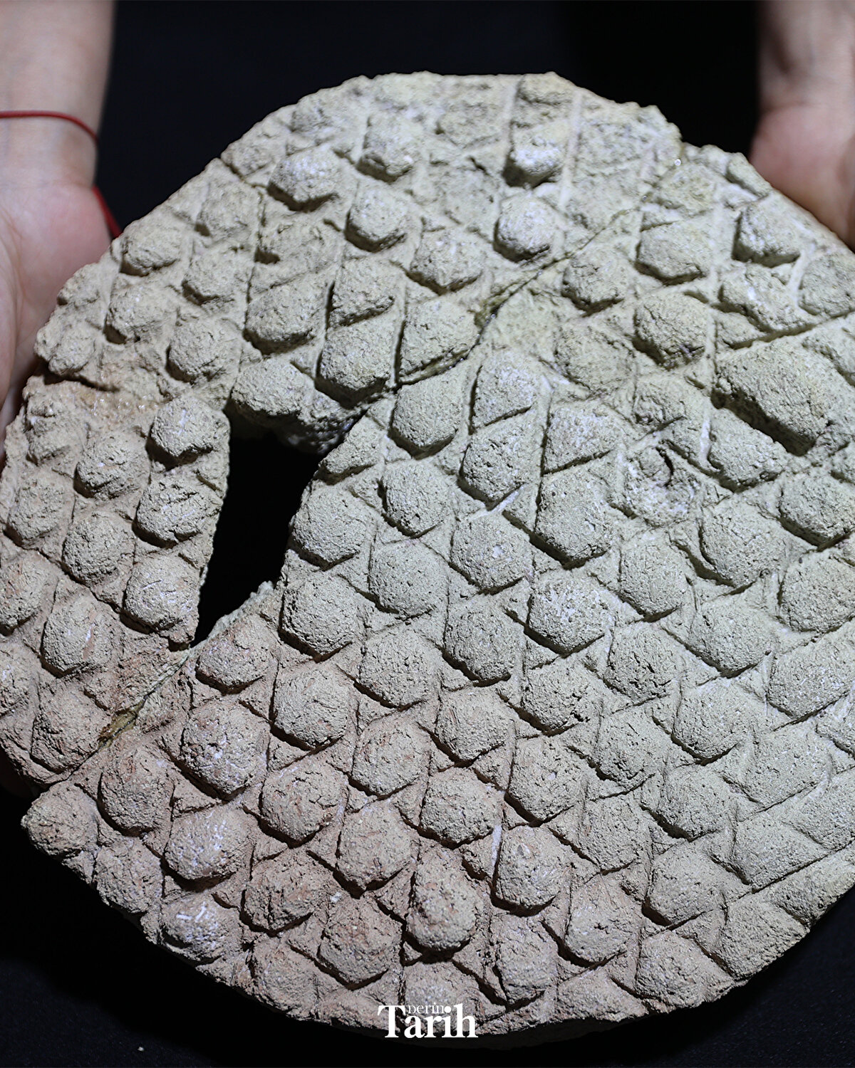 "İlk defa buğdayın toprakla buluşturulduğu belirtilen Harran'da da bu baklava desenli ekmek kalıbının bulunması ekmek kültürünün zarifliğini göstermesi açısından önemlidir. Anılan bezeme günümüz Urfa pidesindeki 'kabartma pide' desenine benzemektedir. Çeşitli bezemeleri olan ekmek kalıpları günümüzde de ekmekçilikte ve pastacılıkla yaygın olarak kullanılmaktadır."