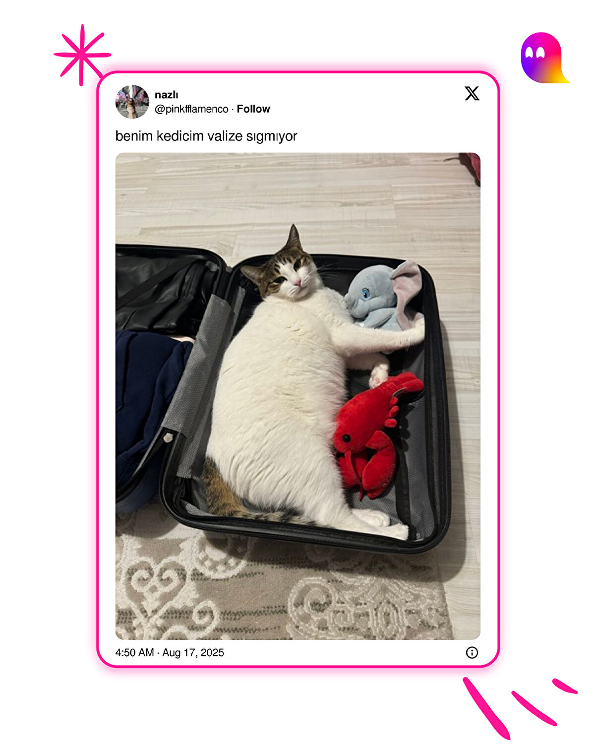 Kafan dışarıda kalmış ama sen daha iyi bilirsin