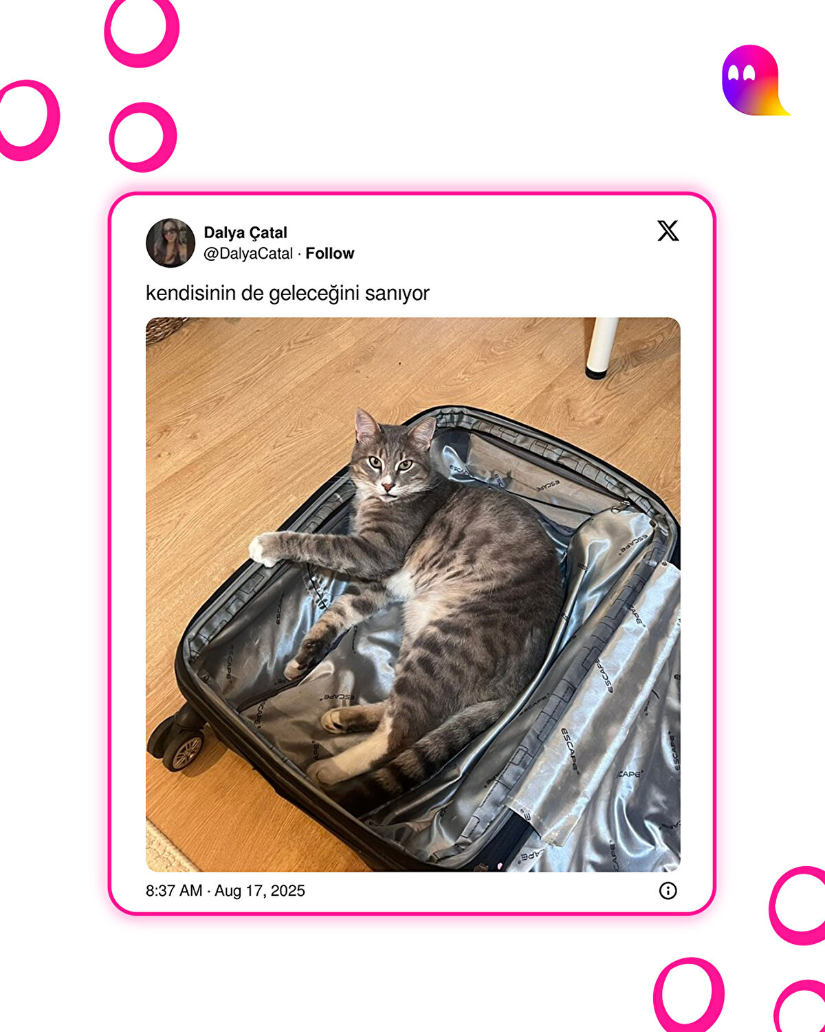 Sahiplenmeseydin kardeşim