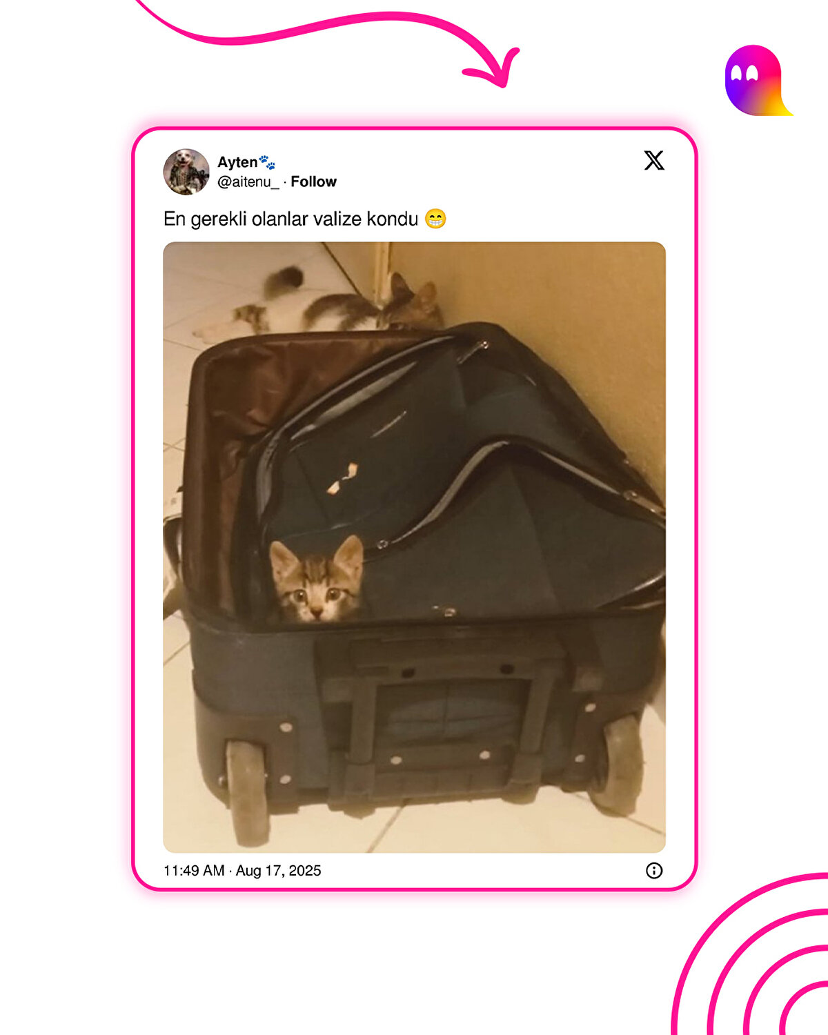 Birilerinin annesiz ilk yolculuğu