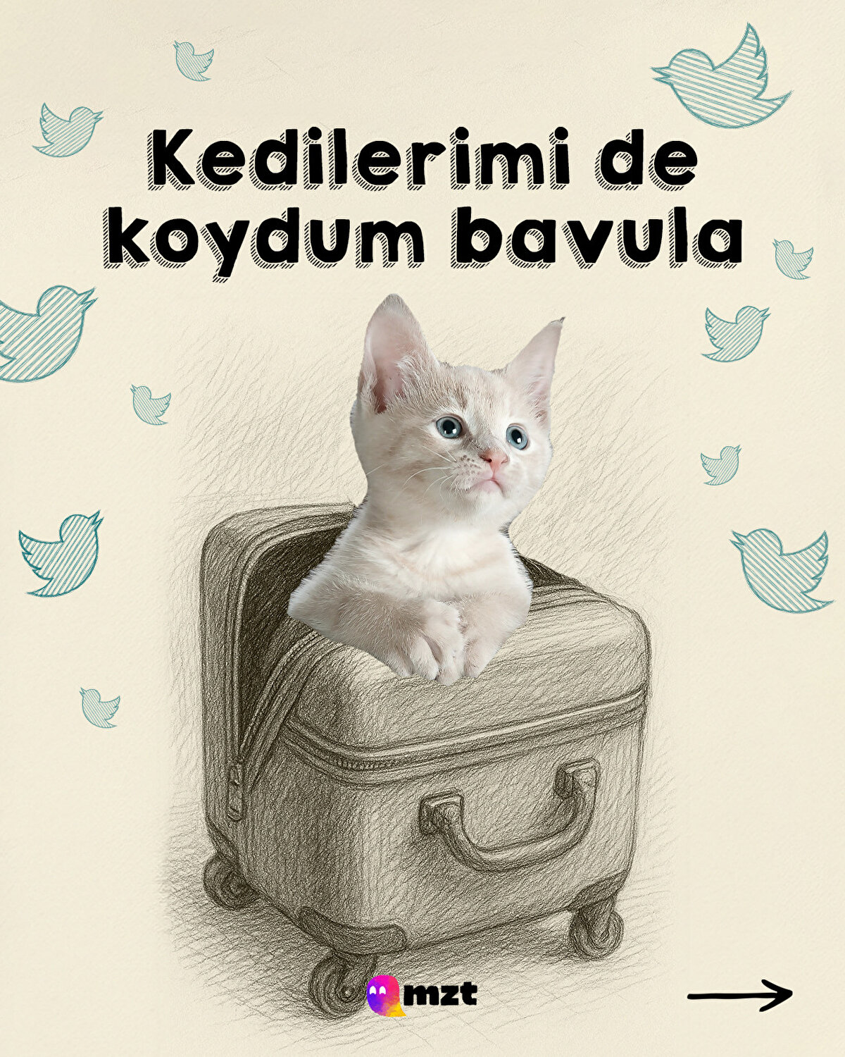 Kedilerimi de koydum bavula