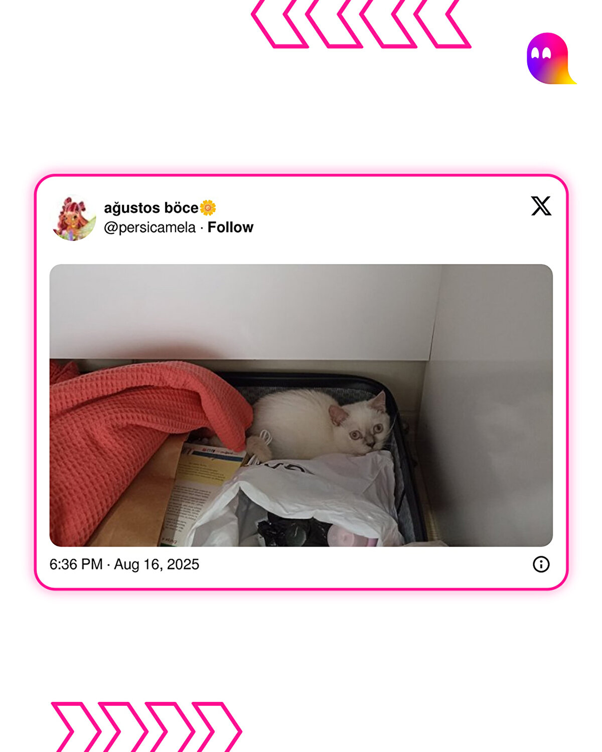 Nasıl itiraz edebilirsin ki?