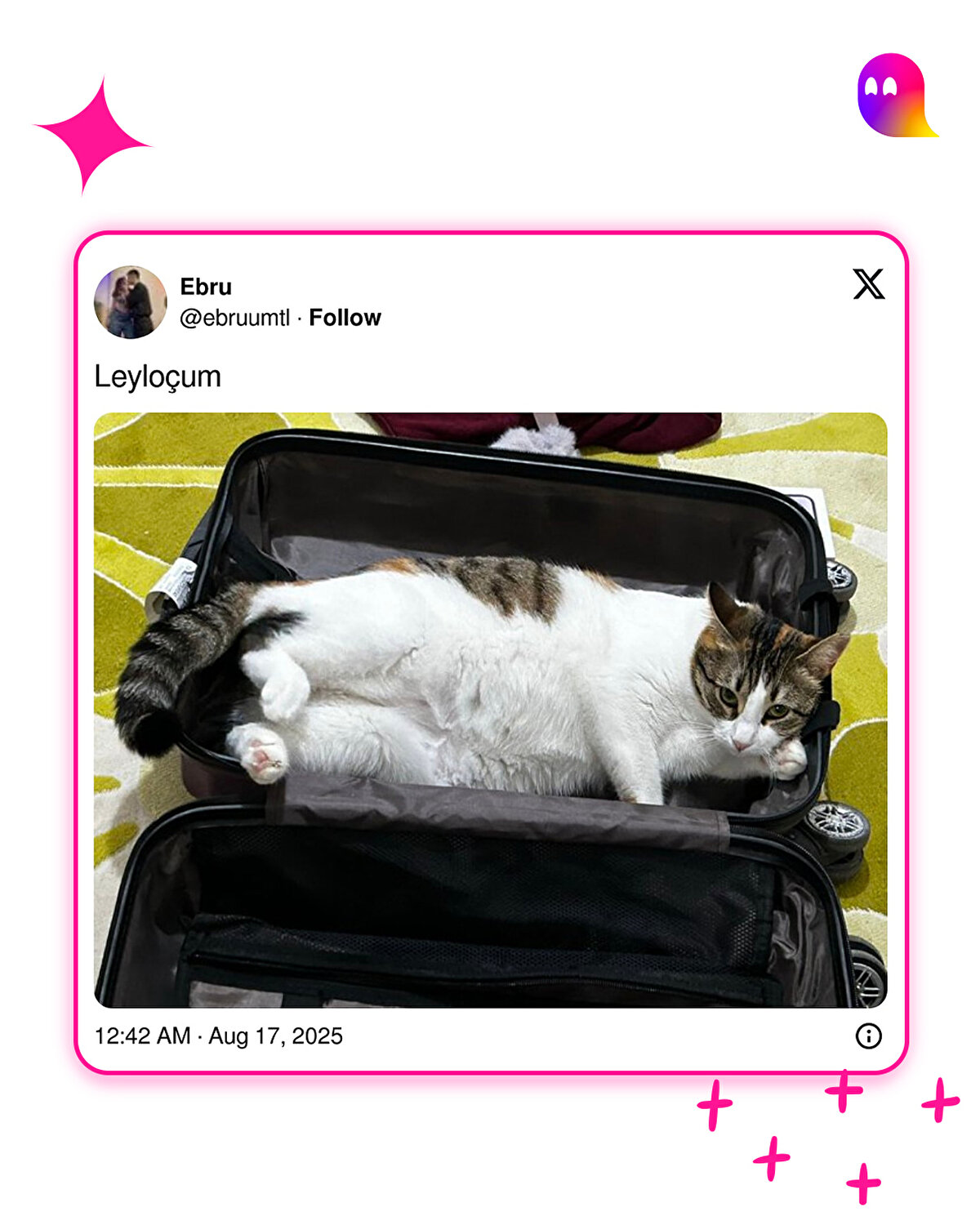 Nasıl rahat mısın öyle?