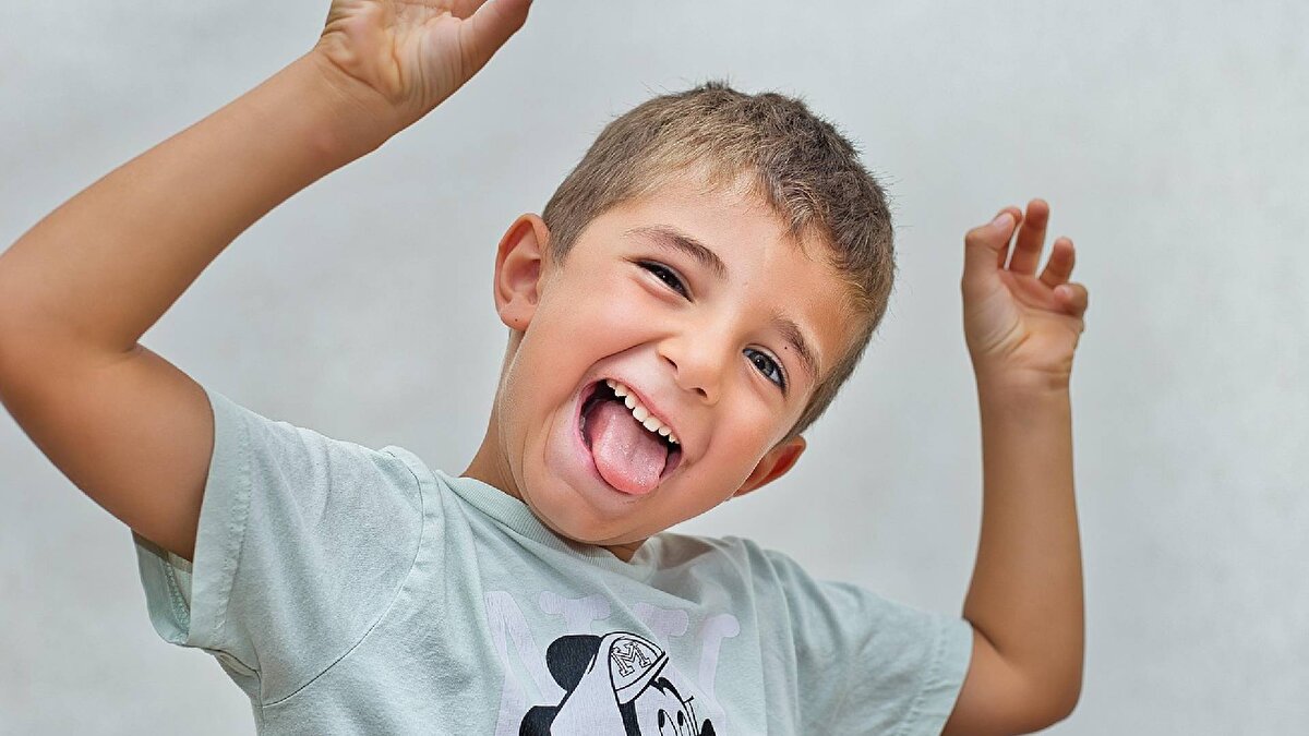 Şetaret:<br>Neşe, sevinç, şenlik