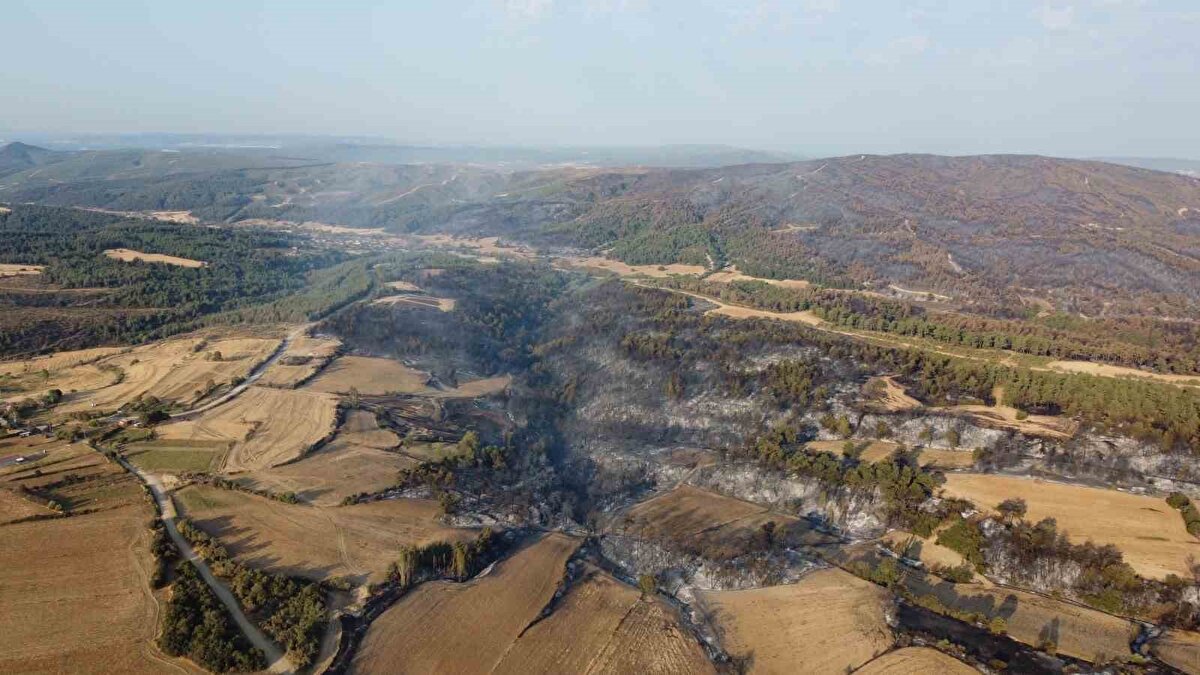  İhbar üzerine bölgeye Orman Bölge Müdürlüğü ekipleri sevk edildi. 