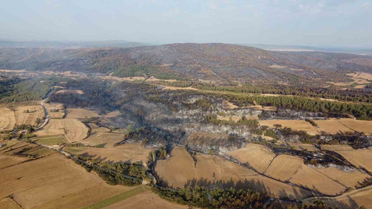  Gece saatlerinde büyük ölçüde kontrol altına alınan yangına güneşin ilk ışıklarıyla birlikte tekrardan havadan müdahaleye başlandı.