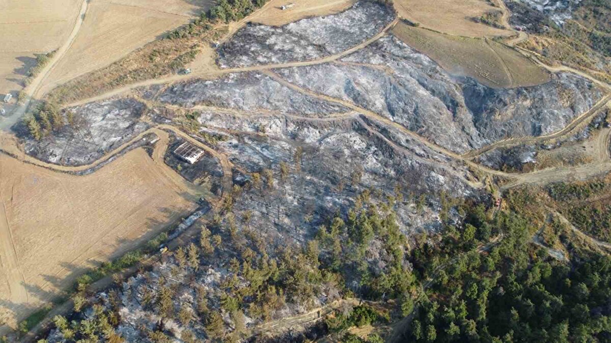 Yangına havanın kararmasıyla karadan yoğun bir şekilde müdahaleye devam edildi.