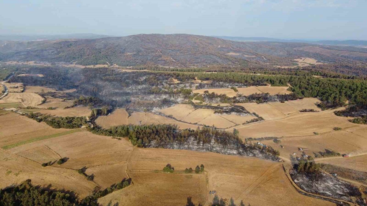 Orman yangınında zarar gören yerler ise sabah saatlerinde dron ile görüntülendi.