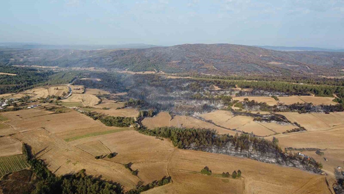 Yangın, Gelibolu ilçesi Ilgardere köyünde dün saat 15.00 sıralarında çıktı. Alevler rüzgarın da etkisiyle büyüdü.