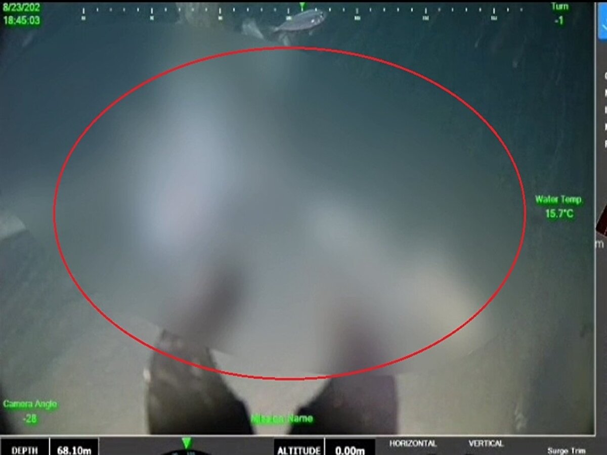 Geminin önünde sürtünme izleri<br><br>Halit Yukay'ın parçalanmış yatına çarptığı öne sürülen geminin radar hareketleri ortaya çıkarken, Sahil Güvenlik ekiplerinin incelemesinde; kuru yük gemisinin ön tarafında sürtme izleri olduğu tespit edildi. Yalova Cumhuriyet Başsavcılığı, bölgedeki gemi trafiği ile 'Arel 7'nin rotasını mercek altına aldı. Gemideki sürtme izlerini gösteren 2 fotoğraf karesi de soruşturma dosyasına girdi. Kazadan 1 gün önce Çanakkale'de çekilen fotoğrafta geminin önünde herhangi bir iz görülmezken, 5 Ağustos'ta geminin yükünü götürdüğü İzmit'te çekilen fotoğrafta, 'Arel 7’nin önündeki belirgin iz ve darbe dikkat çekti.<br><br>92 metre boyunda, 11 metre genişliğindeki geminin ön tarafındaki çiziklerin nasıl meydana geldiği araştırılırken, yük gemisinin sürtme izlerinin bulunduğu yerden ve Yukay'ın parçalanan teknesinde izlerin bulunduğu kısımdan alınan numuneler Bursa Kriminal Polis Laboratuvarı Müdürlüğü’ne gönderildi. İnceleme sonucunda Halit Yukay’ın parçalanan teknesi ile ‘Arel 7’nin önündeki sürtme izlerindeki boya kalıntılarının eşleştiği belirtildi.