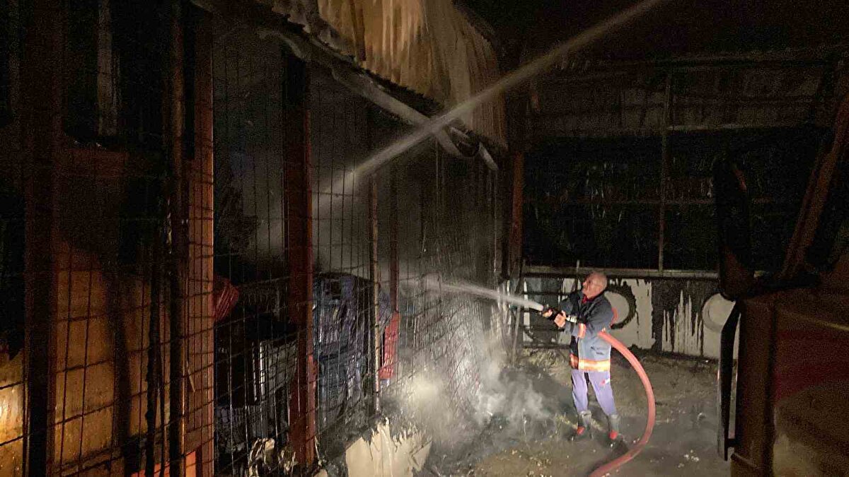 Limon deposundaki plastik kasalar nedeniyle büyüyen yangın ekiplerin yoğun mücadelesiyle 2 saatte kontrol altına alındı. Bu sırada 2 itfaiye eri de dumandan ekilendi. Dumandan etkilenen itfaiye erlerine olay yerinde hazır bekleyen sağlık ekipleri ambulansta müdahale etti.