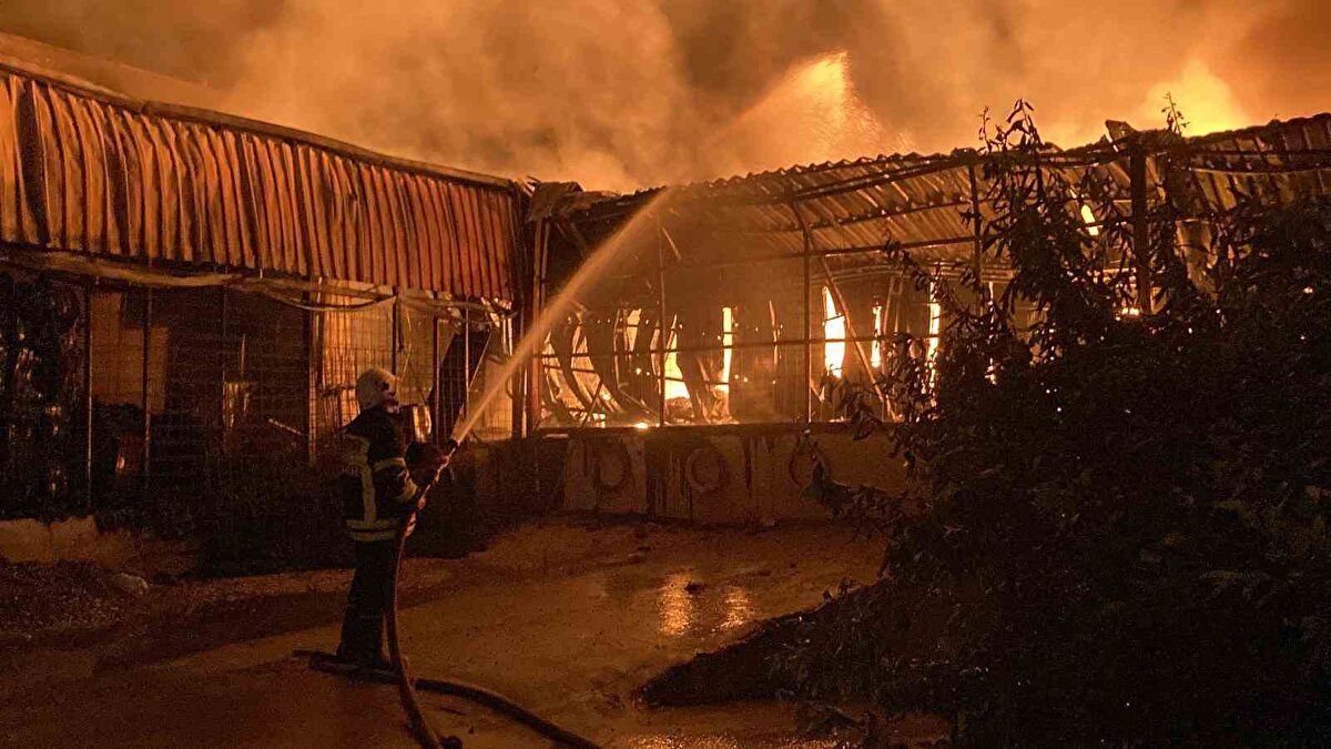 Deponun tamamen evlerin de kısmen zarar gördüğü yangının çıkış nedeniyle ilgili inceleme başlatıldı.