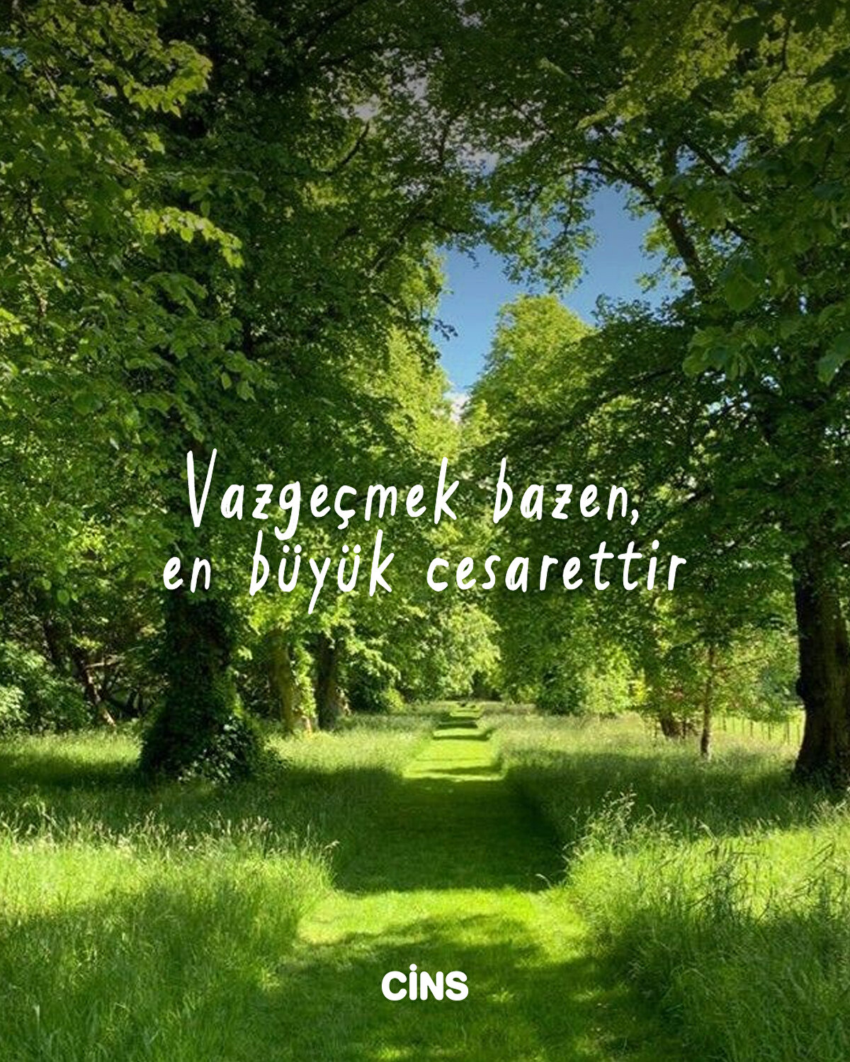 Vazgeçmek bazen, en büyük cesarettir