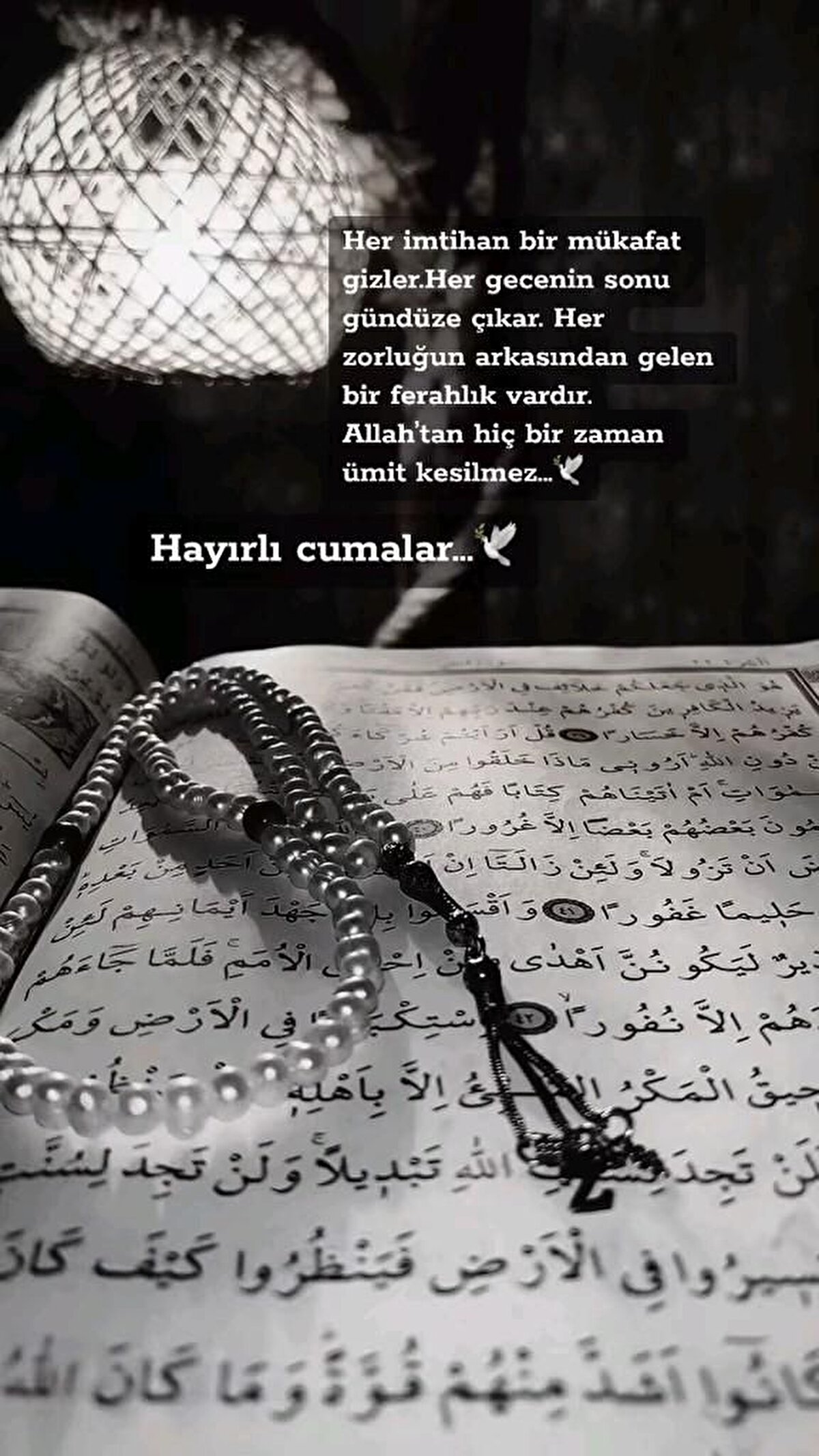 CUMA MESAJLARI 2025<br><br>Cumanız mübarek olsun! Rabbim, bugünü sağlık, huzur ve bereket içinde geçirmenizi nasip etsin. Tüm dualarınız kabul olsun inşallah. <br><br>Cuma bereketi üzerinize olsun! Bugün hayırlı kapılar açılsın, gönlünüzde ne varsa Allah en güzel şekilde nasip etsin.