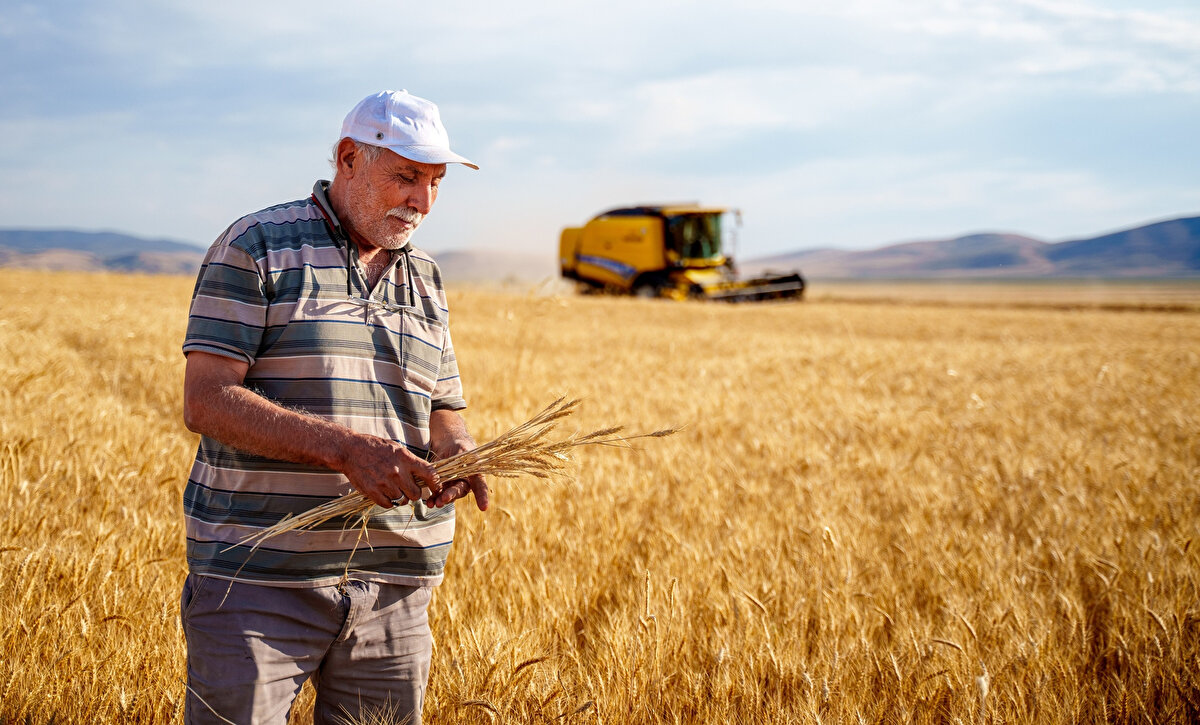 Bugün başlayan Çiftçi Kayıt Sistemi (ÇKS) başvurularının nasıl yapılacağı merak konusu. Resmî Gazete’de yayımlanarak yürürlüğe giren yeni yönetmelikle, çiftçiler kayıt altına aldıkları araziler için tarımsal desteklerden faydalanabilecek.