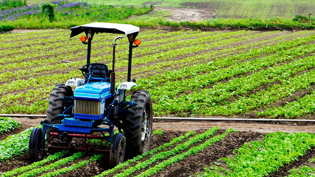 ÇİFTÇİ KAYIT SİSTEMİ BAŞVURULARI NE ZAMAN?<br>Mülkiyeti devlete ait olan arazilerde üretim yapan çiftçiler, kira sözleşmeleri bulunmadığında “taahhütname” ile başvuru yapabilecek. Üreticilerin destekten yararlanabilmeleri için daha sonrasında kira sözleşmesini ibraz etmeleri gerekecek.<br>
