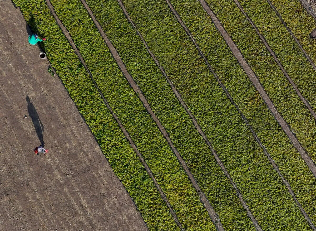 Çiftçiler ürün değişikliği talebinde bulunabilecek<br><br>Çiftçiler yıl içinde ürün değişikliği talebinde bulunabilecek. Bu başvurular, tespit komisyonu tarafından değerlendirilebilecek.<br>30 Haziran’a kadar arazi bulma durumuna ilişkin değişiklik talebi yapılabilecek.<br>