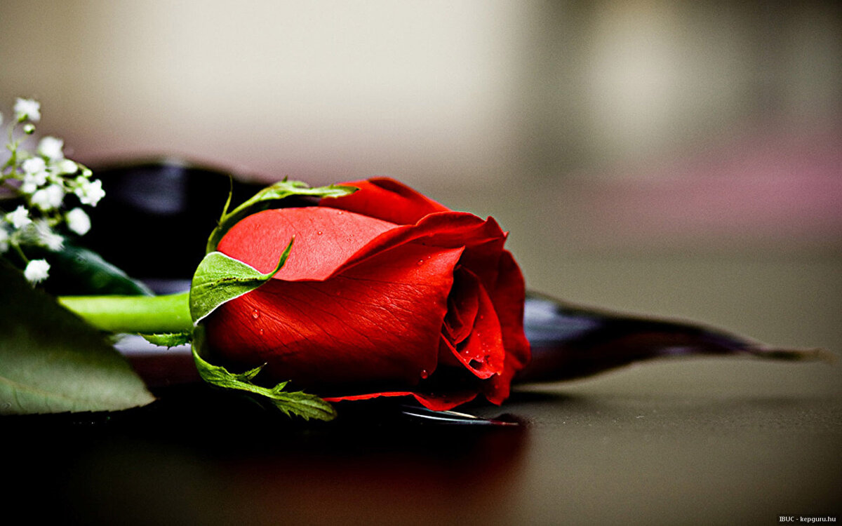 MEVLİD KANDİLİNDE ORUÇ TUTULUR MU?<br><br>Dini kaynaklara göre Mevlid Kandili'nde oruç tutulmasına dair herhangi bir bilgi yer almamasına karşın, bu gece, Resulullahın doğum zamanında görülen hâlleri, mucizeleri okumak, dinlemek, öğrenmek çok sevaptır. 3 Eylül kandil günü veya ertesi gün oruç tutmakta mahzur yoktur. Tutmak savap olarak nitelendirilebilir. İslam âlimleri mevlid gecesine çok önem vermişlerdir.