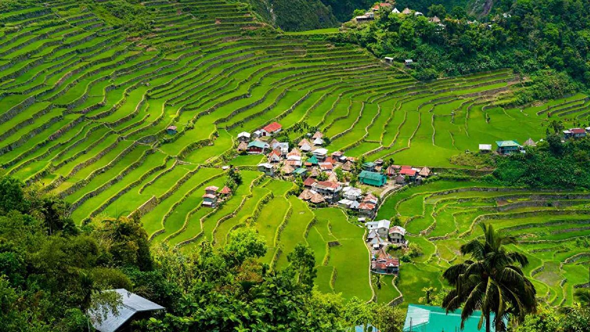 10.🇵🇭 Batad, Filipinler