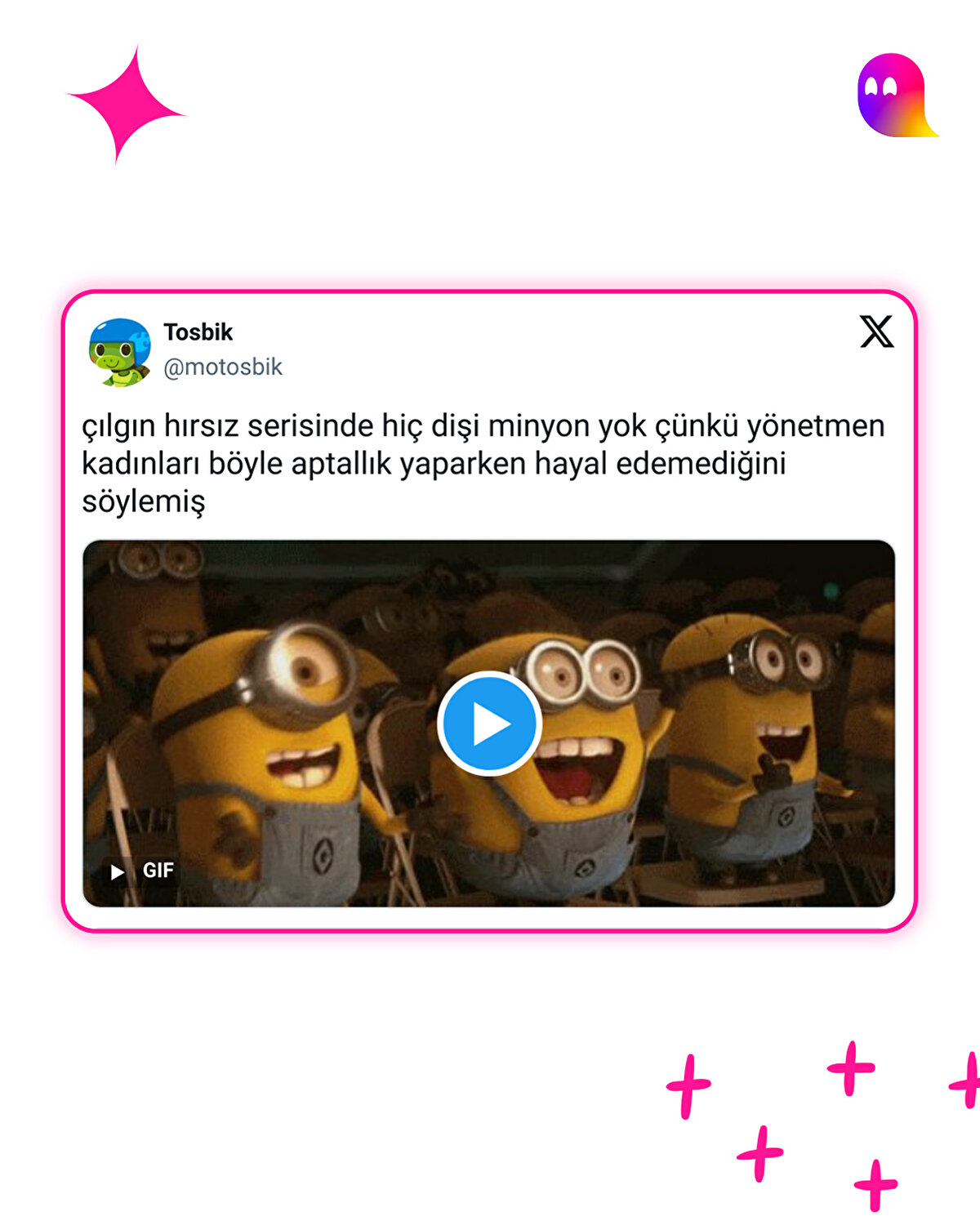 Dişi Minyon Neden Yok?