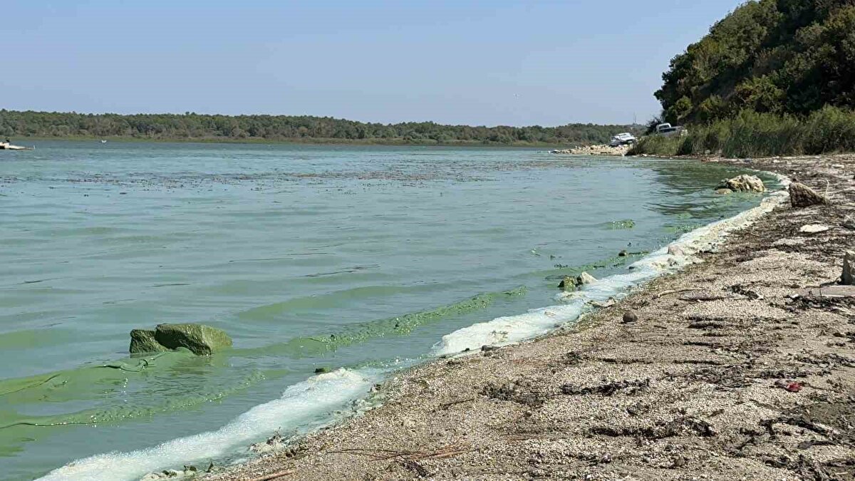 Arnavutköy ilçesindeki Terkos Gölü kıyısında göze çarpan yeşil tabakalar ve kıyıda biriken köpükler bölgedeki vatandaşların dikkatini çekti. 