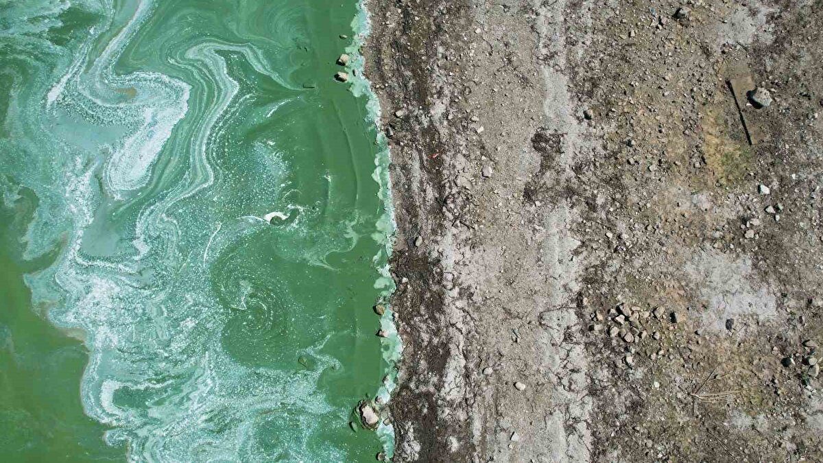 Görüntüler, İstanbul’un en önemli su rezervlerinden birinde yaşanması nedeniyle tedirginlik oluşturdu. Yoğun renk değişimi ve su kıyısında oluşan köpük dronla havadan görüntülendi.