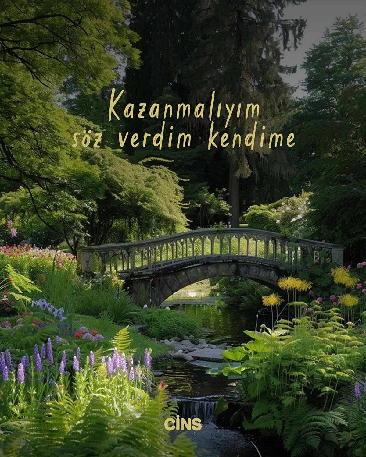 Kazanmalıyım söz verdim kendime