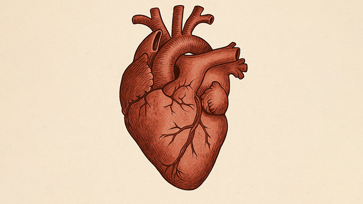 - Kan bağışı stresi azaltıp depresyona iyi gelir<br>- Kalp krizi riskini azaltır<br>- Kanser riskini azaltır