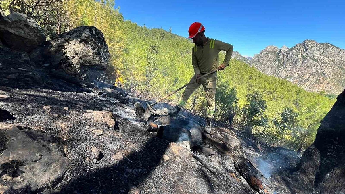 Jandarma ekipleri yangının çıkış nedeniyle ilgili inceleme başlattı.