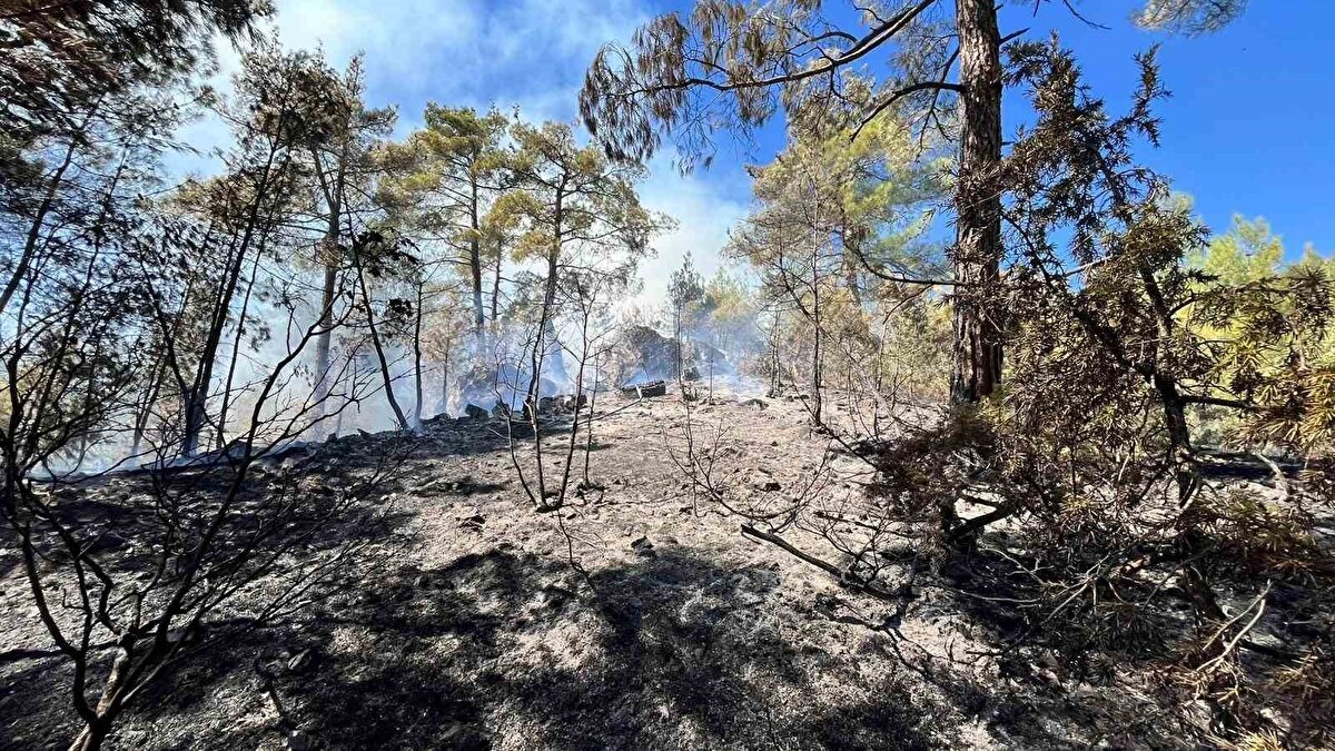 Yangının etrafının çevrilerek büyüme ihtimalinin ortadan kaldırıldığı öğrenildi.
