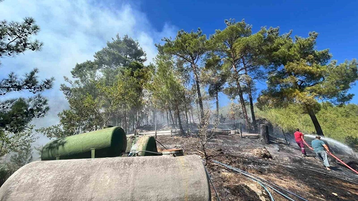 Feke ilçesine bağlı Belenköy Kahveci Yaylası’nda saat 10.40’ta orman yangını çıktı.