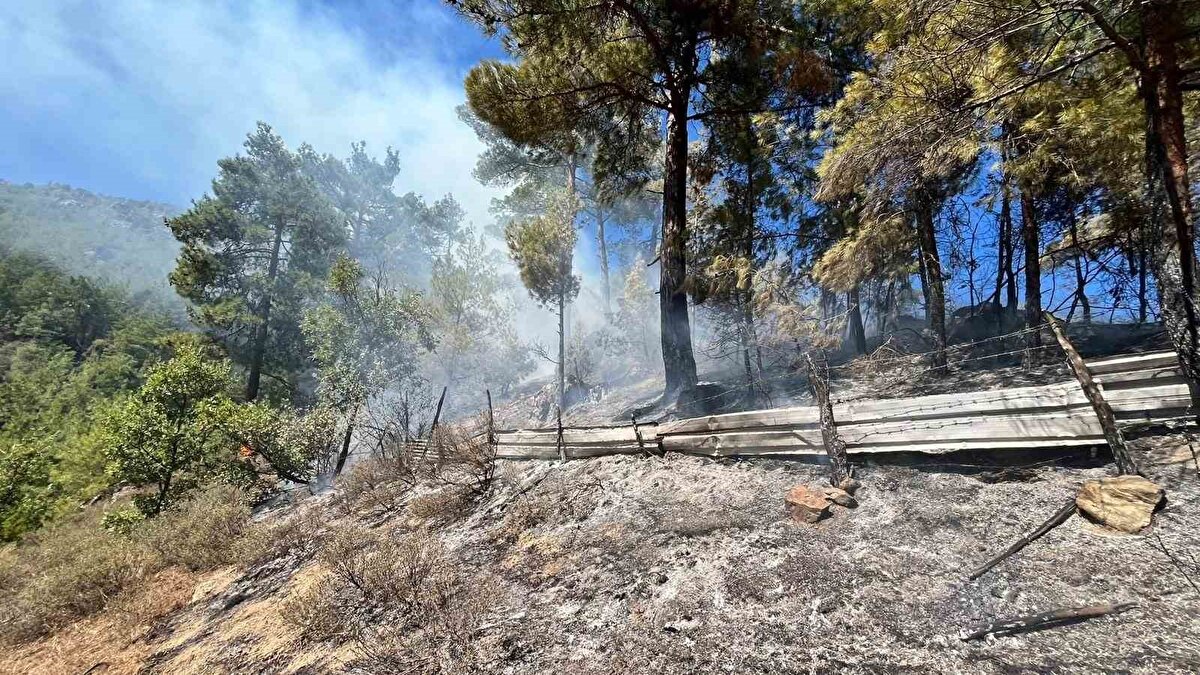 İhbar üzerine olay yerine sevk edilen Adana Orman Bölge Müdürlüğü ekipleri yangına kısa sürede müdahale etti.