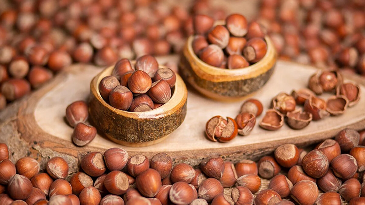 Fındık fiyatları neden yükseldi?<br><br>2025 yılının nisan ayında etkili olan zirai don, Karadeniz’de fındık rekoltesini yarı yarıya düşürdü. Ürün azlığı nedeniyle pazara fındık akışı da sınırlı kaldı. Üreticiler, ihtiyaçları kadar satış yaparken emanete fındık bırakmıyor. Bu durum serbest piyasada arzı daha da kısıtladı ve fiyatların hızlı şekilde yükselmesine neden oldu.