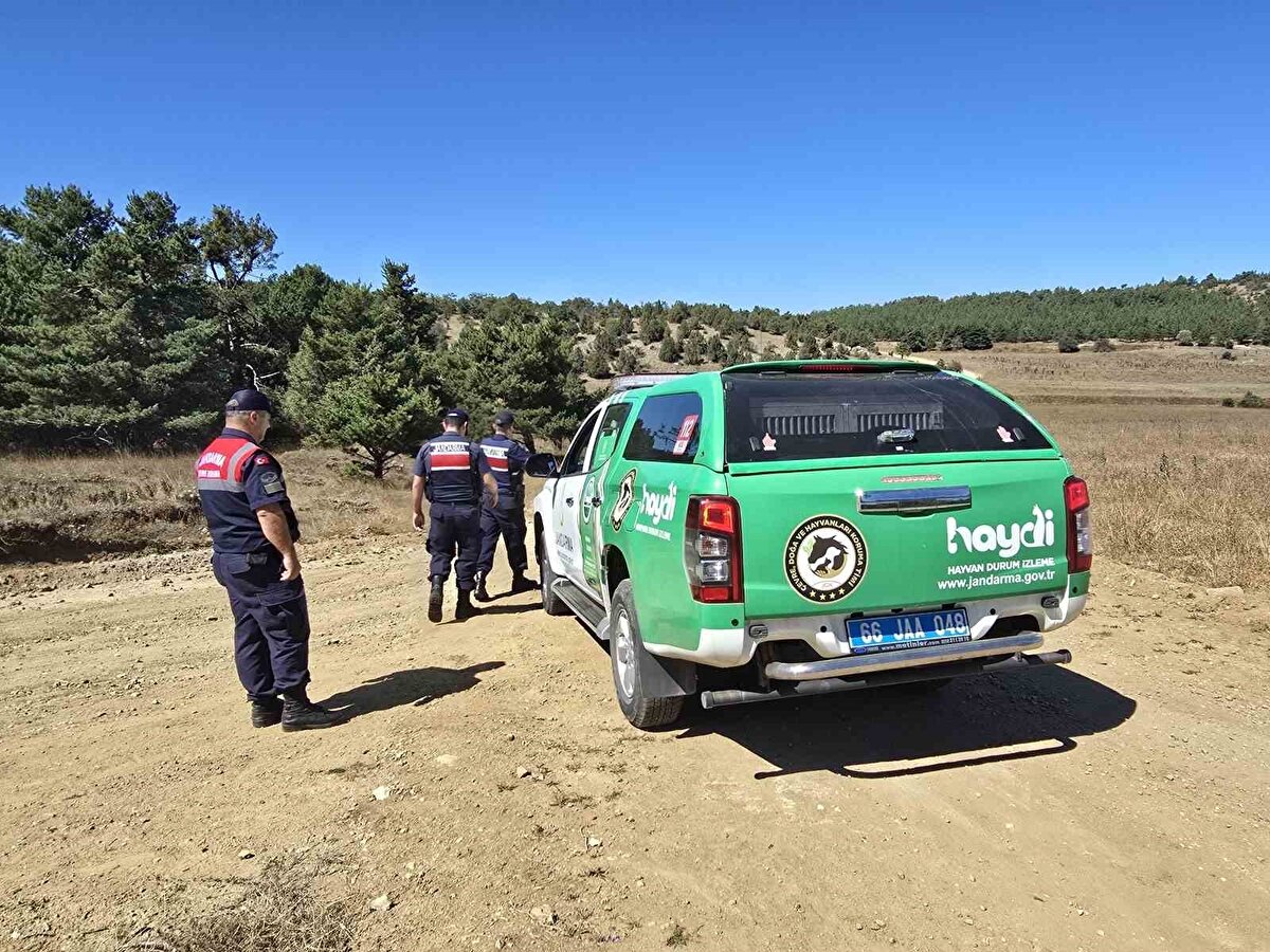 Akdağmadeni ilçesinde, doğadan izinsiz şekilde salep soğanı toplanmasının önüne geçmek amacıyla Jandarma ekipleri tarafından denetim gerçekleştirildi.<br>Denetimlerde, biyolojik çeşitliliğin korunması ve endemik türlerin sürdürülebilirliği hedeflendi. Özellikle nesli tehlike altında olan salep orkidesinin yaygın bulunduğu alanlarda ve çevre alanlarda kontroller yapıldı. 