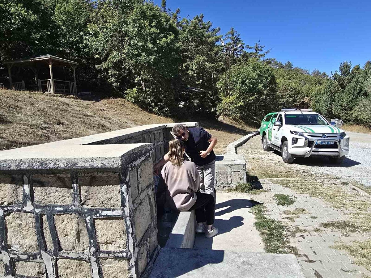 Ormanlık alanda yürüyüşe çıkan Davut Güvenç 12 yaşından beridir yurt dışında yaşıyor olmasına rağmen memleketi olan Akdağmadeni’ne sık sık ziyarete geldiğini ifade etti. Güvenç, "Kızımla birlikte doğa harikası olan bu yerlerde gezintiye çıktık. Gezerken komutanlarımıza rastladık. Buralardaki vatandaşların emniyeti için kontrol yaptılar. Kendilerine teşekkür ediyorum. Yurt dışında yaşadığımız için salebin kaçak toplandığından pek haberim yok. Ama Avusturya’ya dönerken Akdağmadeni salebinden de en az 2 kilo götürüyoruz. 2 kilo 15 kişilik bir nüfusa 1 yıl kadar yeter. Gittiğimiz yerlere hediye olarak da götürüyoruz. Yapılan denetimler için teşekkür ediyorum" dedi.