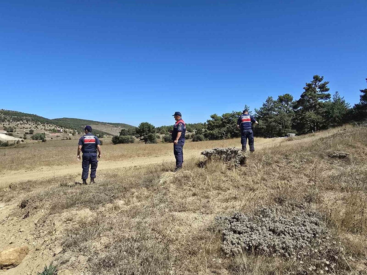 Jandarma ekipleri, vatandaşları da bilgilendirerek, doğadan salep soğanı toplamanın Çevre Kanunu ve Biyolojik Çeşitliliği Koruma Yasası kapsamında izne tabi olduğunu hatırlattı. Kurallara uymayan kişiler hakkında idari işlem uygulanacağı belirtildi.