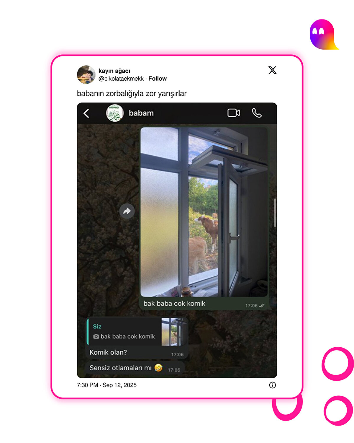 Biraz kırıcı olmuş gibi